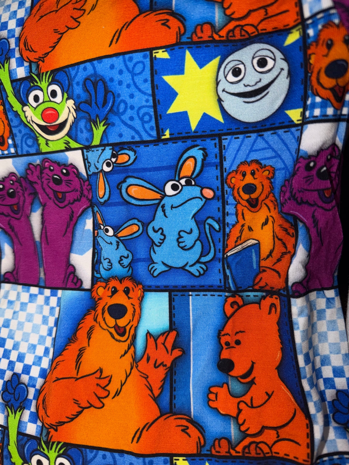 Bear in house