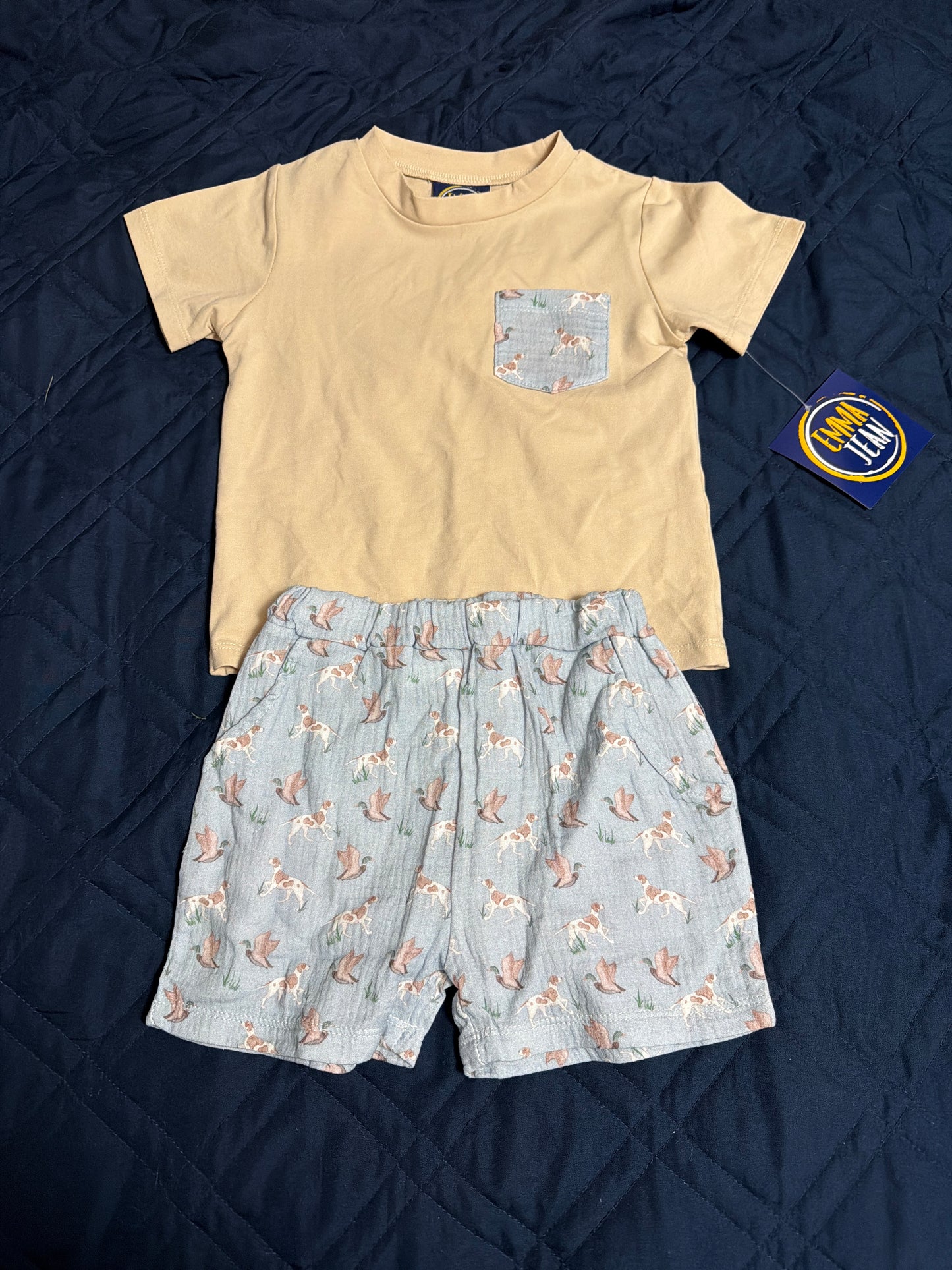 Pointer bird set