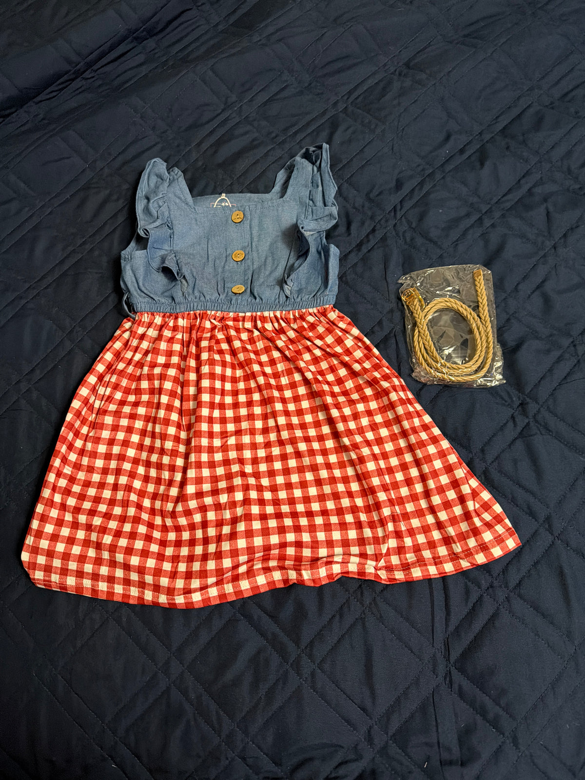Grigham picnic dress